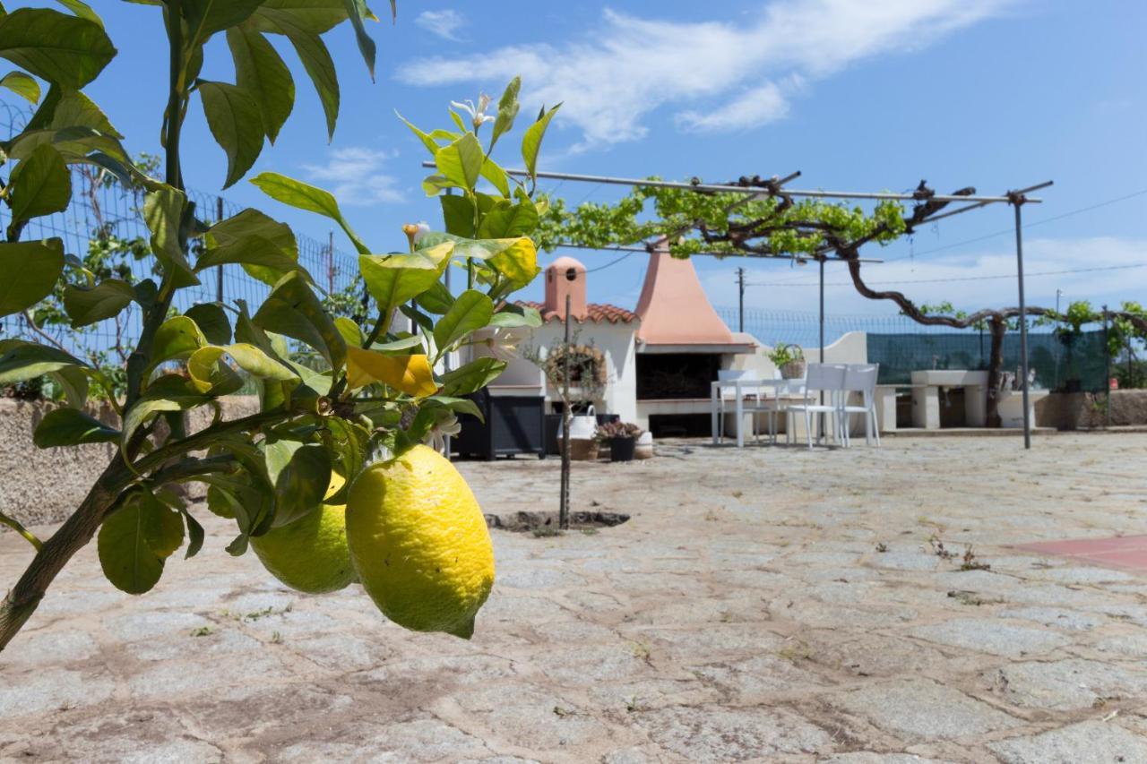 1 - Villa Is Orrosas - Apartments 1 - Sa Crai Apartments Sardinian Experience لوتْسوراي المظهر الخارجي الصورة